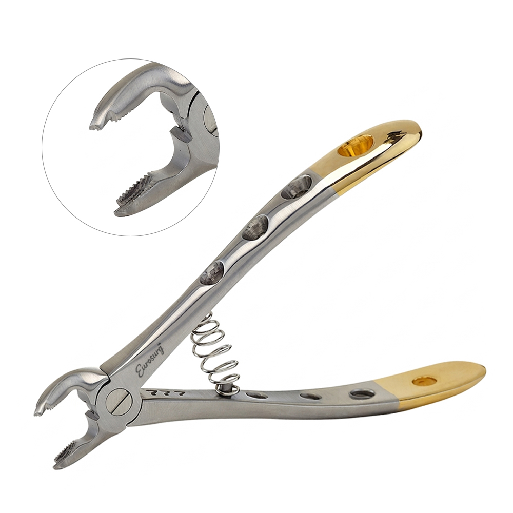 Dental Extraction Forceps Common Dental Instruments