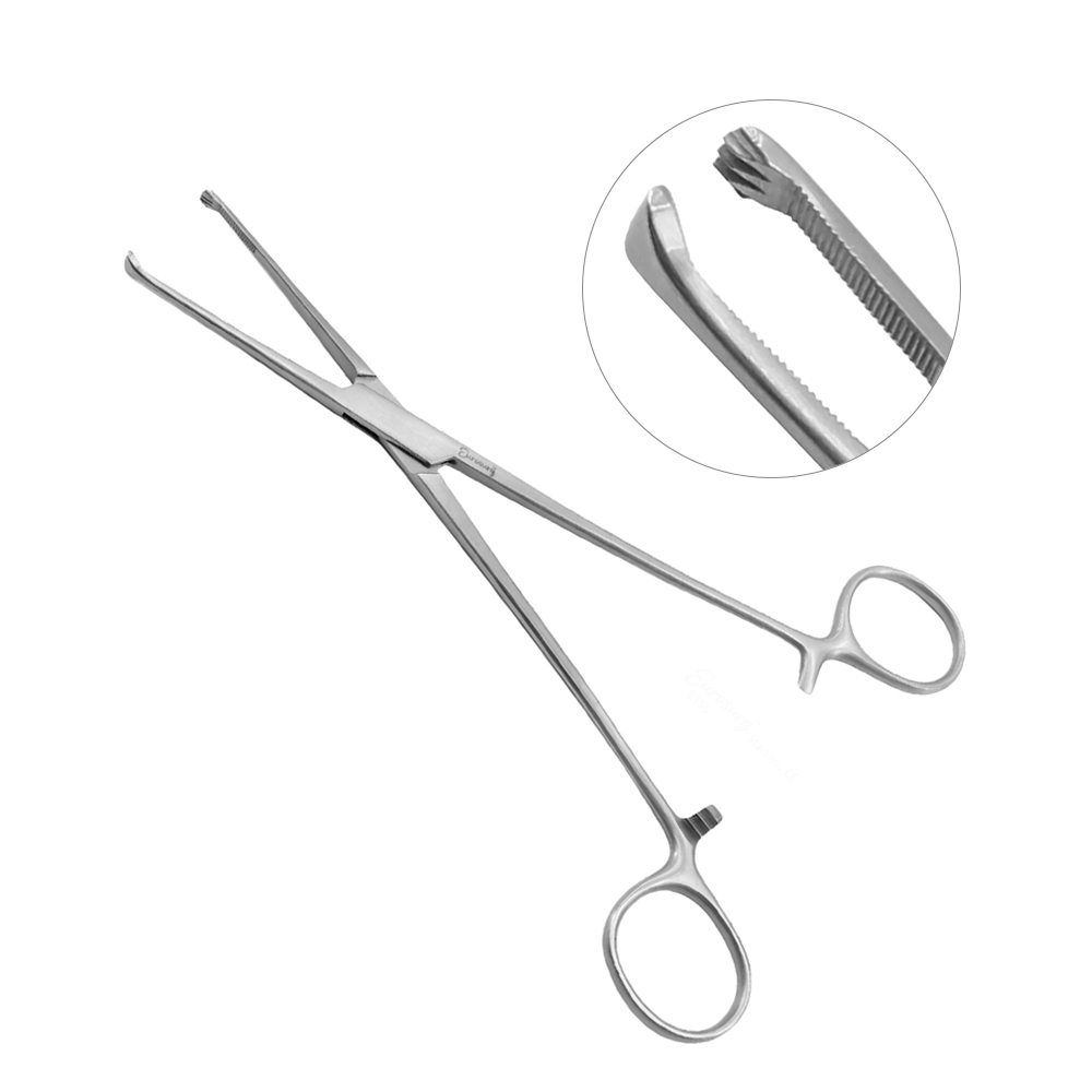 Dental Forceps
